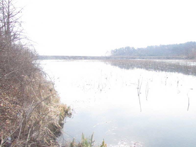 pro_johwang_7f955_101036_33279.jpg