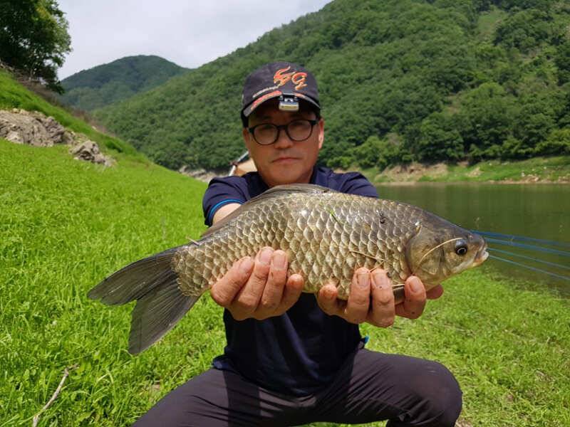 명서 4짜 4짜 하천4짜 솔 후산낚시터도 꾸준한 조황 (조황조행기 - 특파원조황)