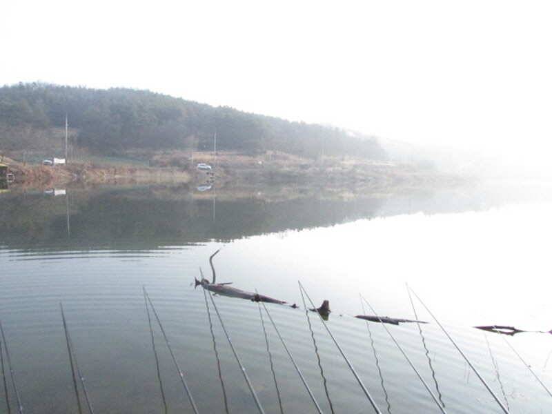 pro_johwang_83070_103556_71410.jpg