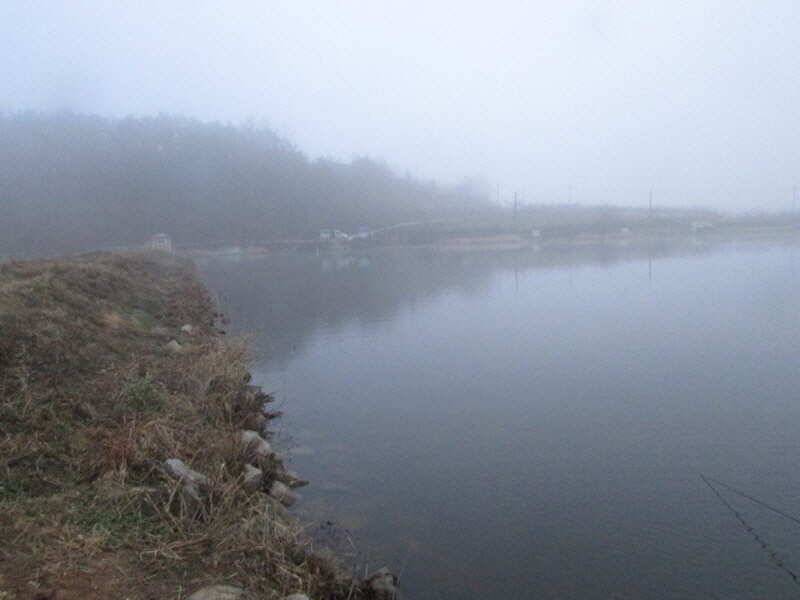 pro_johwang_832cb_112132_82706.jpg