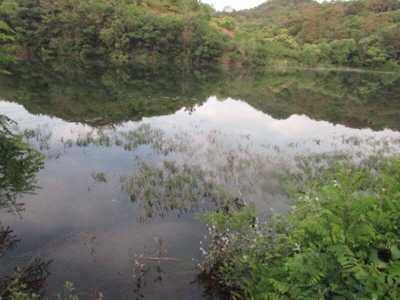 6월2째주 조황 입니다 (조황조행기 - 특파원조황)