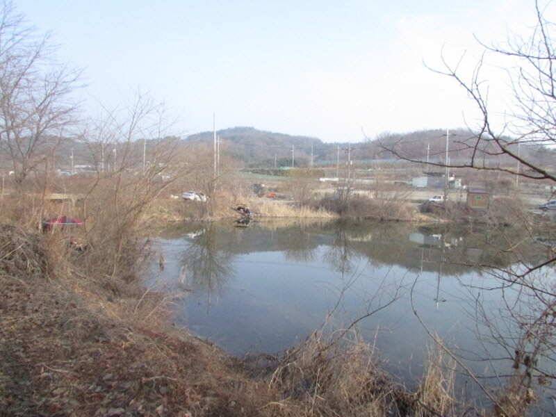 pro_johwang_84841_103636_56844.jpg