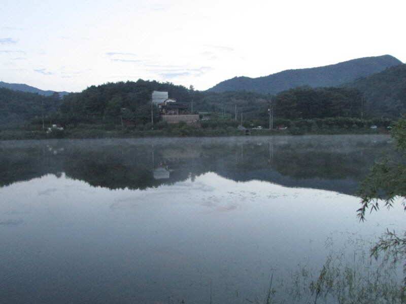pro_johwang_89564_105342_78701.jpg