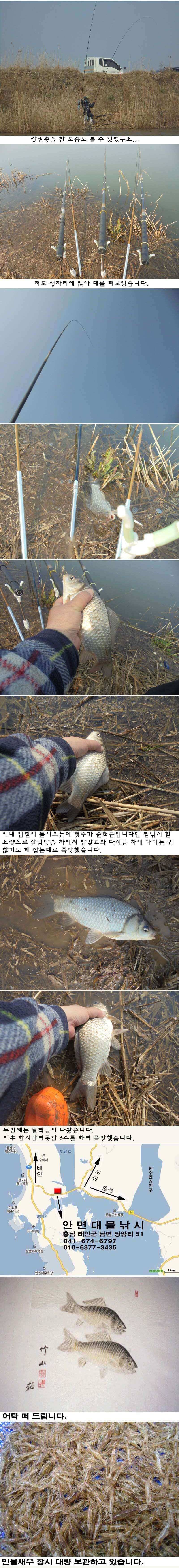 연일 이어지는 관고기 호조황 (조황조행기 - 특파원조황)