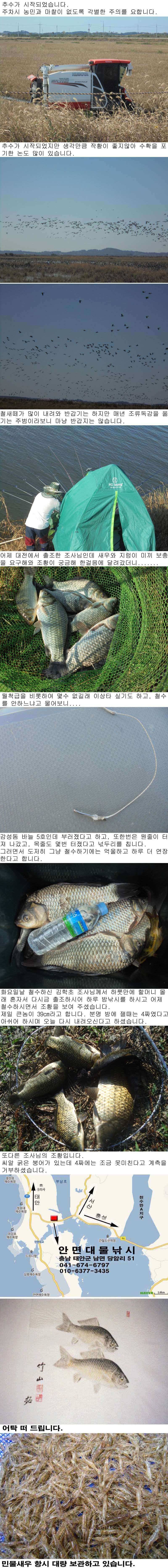 1013 부남호 감성돔 바늘 5호도 부러진 조황 (조황조행기 - 특파원조황)