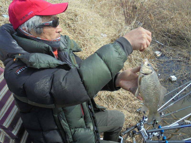 313 부남호 조황 (조황조행기 - 특파원조황)
