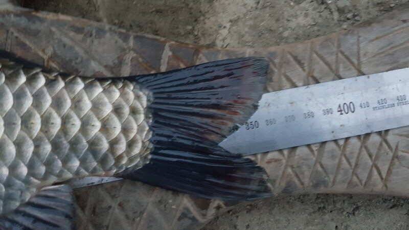 pro_johwang_9d3a1_111742_75598.jpg
