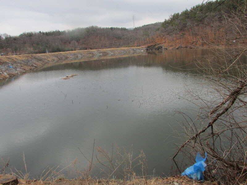 3월2째주 조황 입니다 (조황조행기 - 특파원조황)