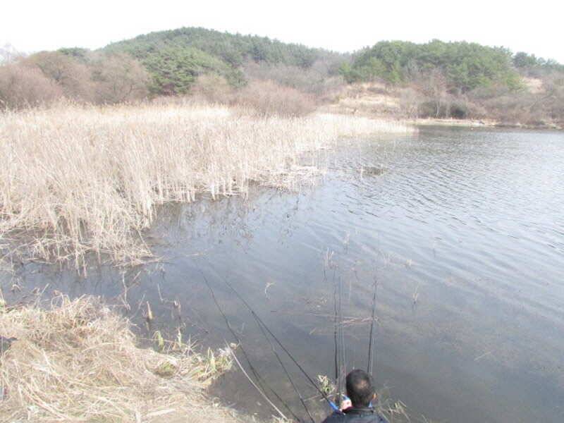pro_johwang_a4646_101329_16043.jpg