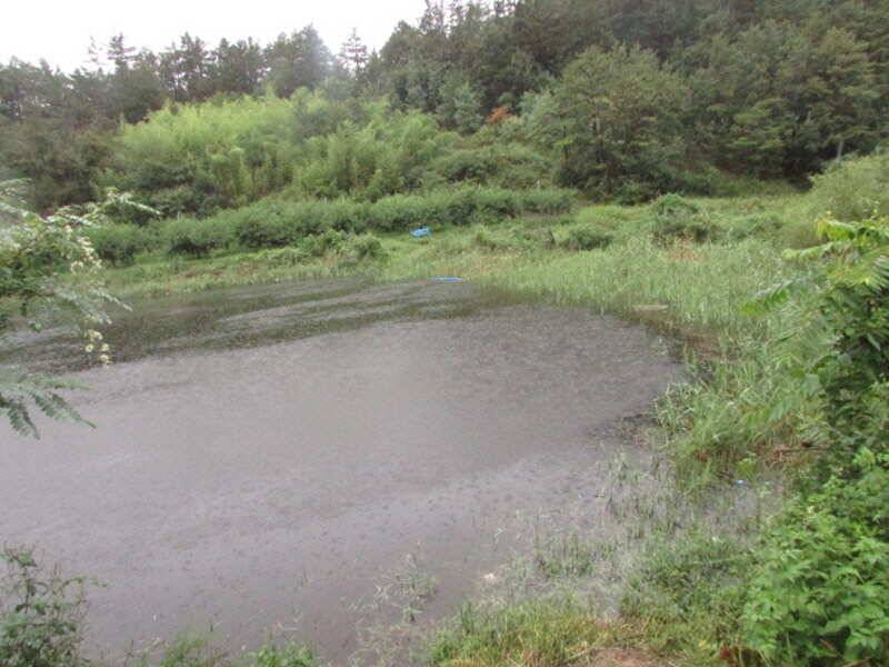 8월 마지막주 조황입니다 (조황조행기 - 특파원조황)