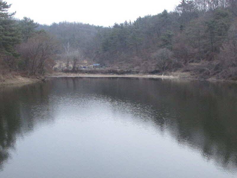 pro_johwang_abe6d_101842_27528.jpg