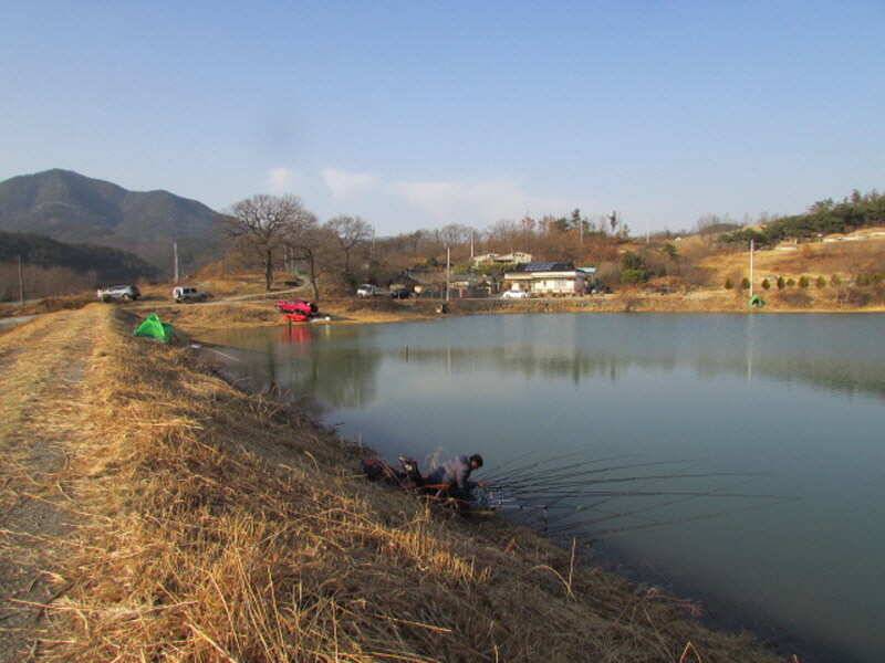 3월2째주 조황 입니다 (조황조행기 - 특파원조황)
