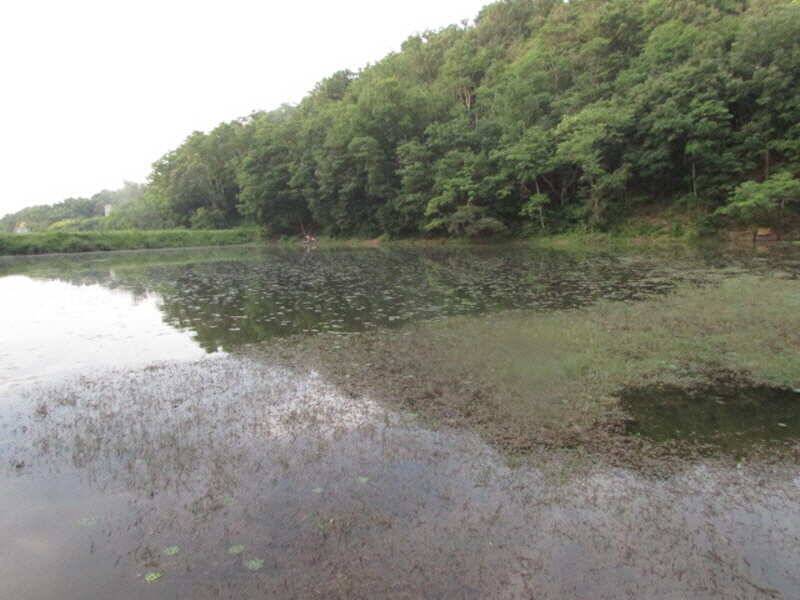 6월2째주 조황 입니다 (조황조행기 - 특파원조황)