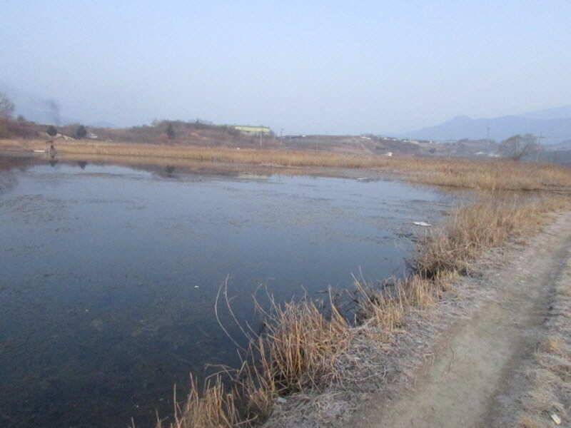 pro_johwang_af161_102522_20416.jpg