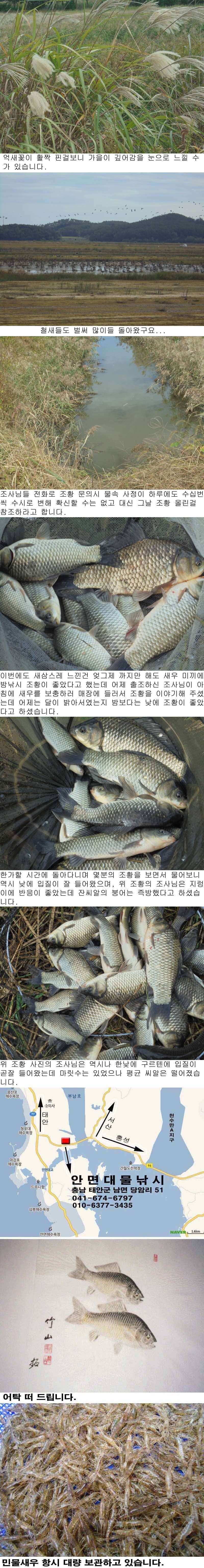106 부남호 이번에는 낮조황이 더 좋았습니다 (조황조행기 - 특파원조황)