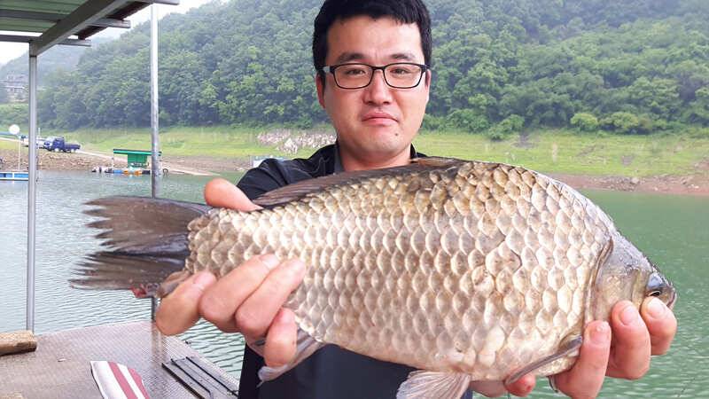 목벌 4짜 하천낚시터 소식 (조황조행기 - 특파원조황)