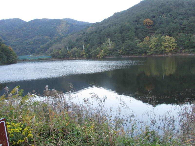 11월 첫주 조황입니다 (조황조행기 - 특파원조황)