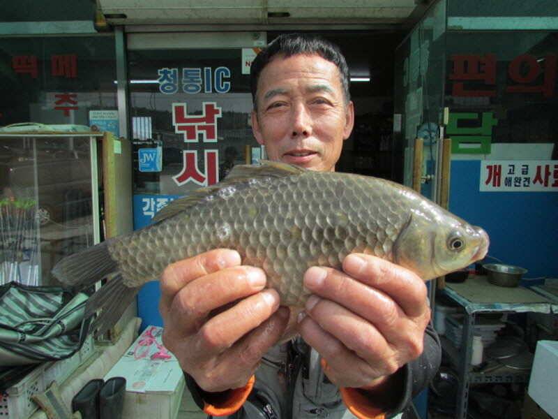 3월2째주 조황 입니다 (조황조행기 - 특파원조황)
