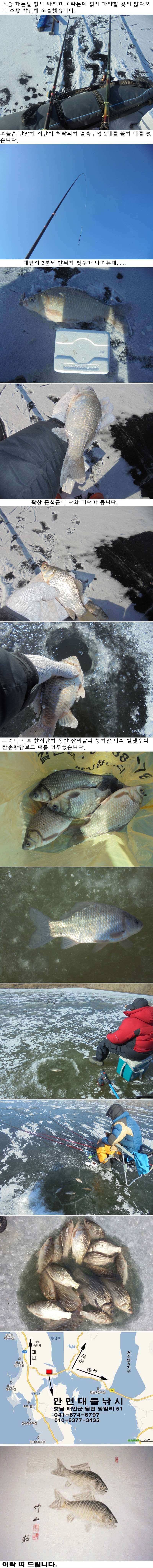안면도권 저수지 얼음낚시 주중 조황 (조황조행기 - 특파원조황)