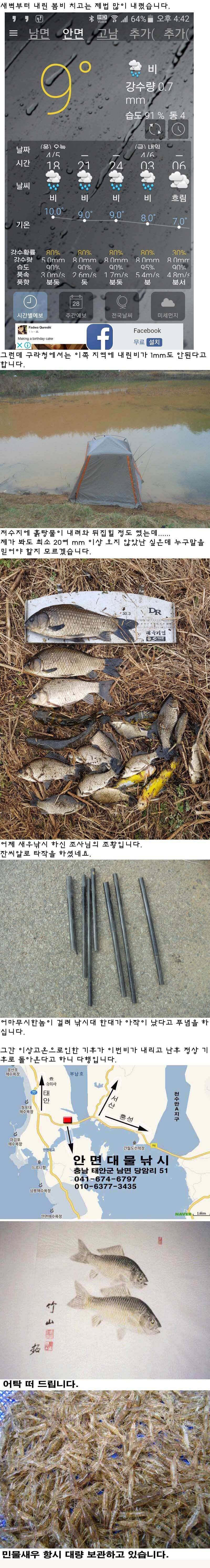 45 안면도권 저수지 우중속의 새우 밤낚시 조황 (조황조행기 - 특파원조황)