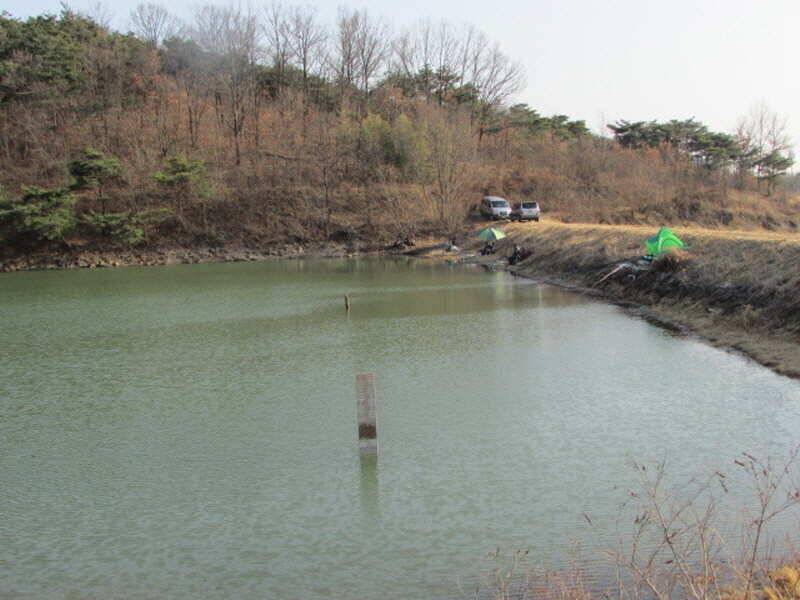 3월2째주 조황 입니다 (조황조행기 - 특파원조황)