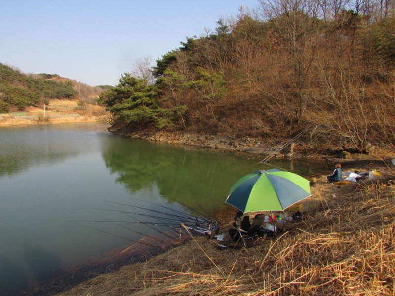3월2째주 조황 입니다 (조황조행기 - 특파원조황)