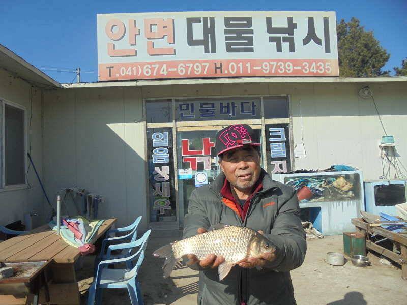 129 부남호 월척급 붕어 조황 (조황조행기 - 특파원조황)