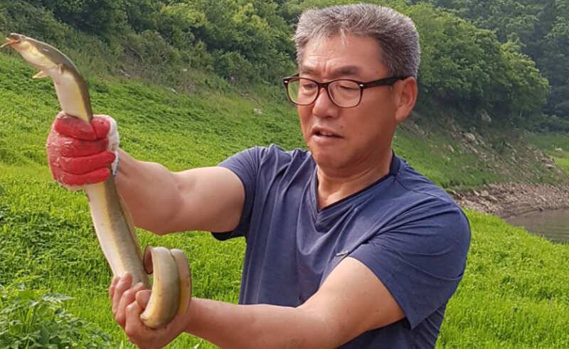 명서 내림수위에 4짜 대물붕어 장어소식 (조황조행기 - 특파원조황)