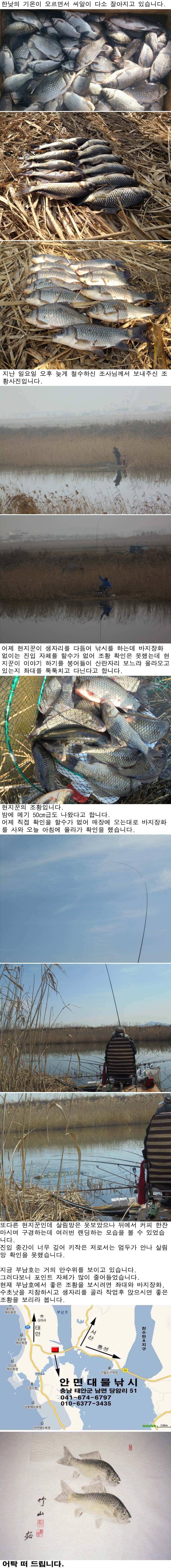 226 부남호 월 화요일 주중 조황 (조황조행기 - 특파원조황)