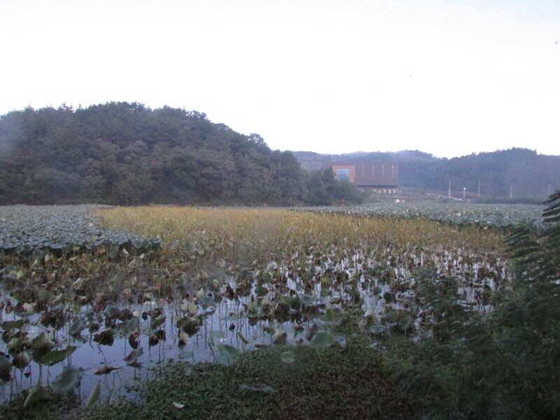 pro_johwang_e93c9_110112_69909.jpg