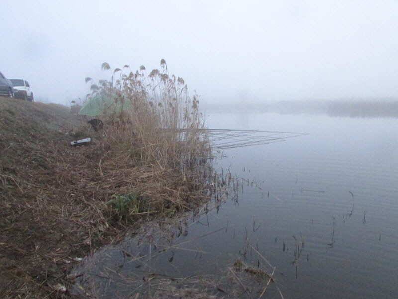 pro_johwang_e9df5_111700_13838.jpg