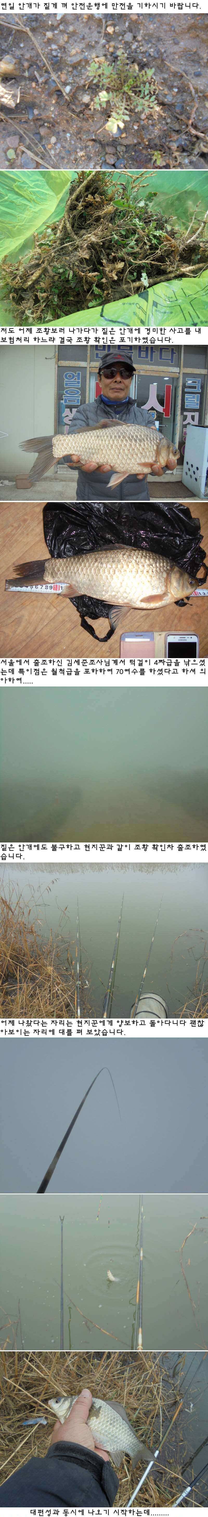 325 부남호 4짜급 조황 및 326 세시간 낚시에 관고기 조황 (조황조행기 - 특파원조황)