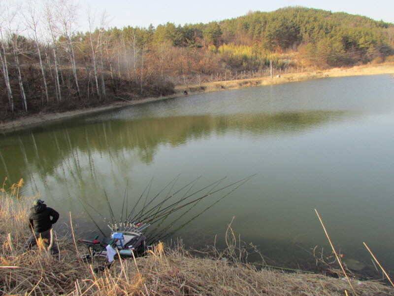 3월2째주 조황 입니다 (조황조행기 - 특파원조황)