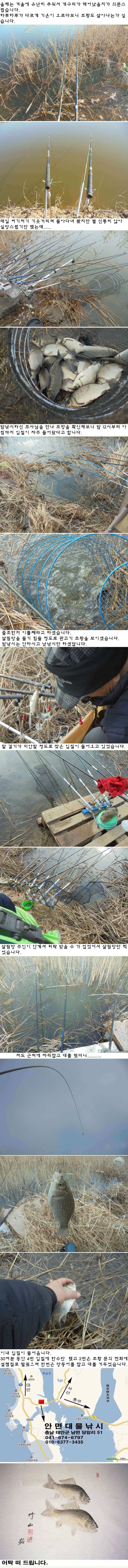 37 부남호 관고기 조황 (조황조행기 - 특파원조황)
