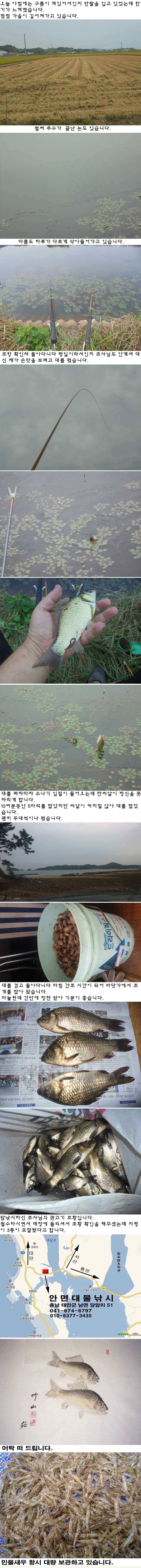 pro_johwang_fef68_085550_53676.jpg