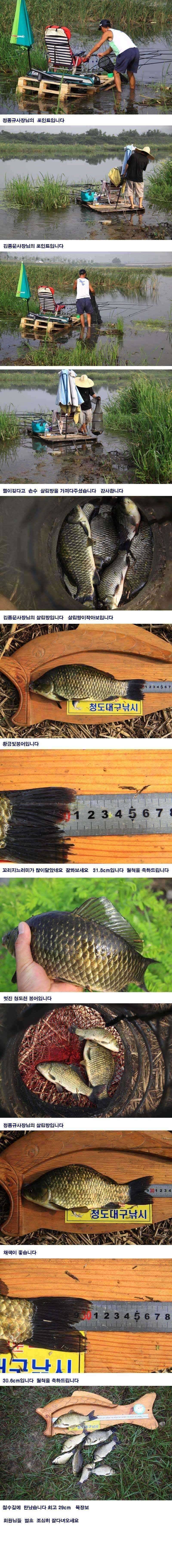 청도권주말 조황입니다 (조황조행기 - 특파원조황)