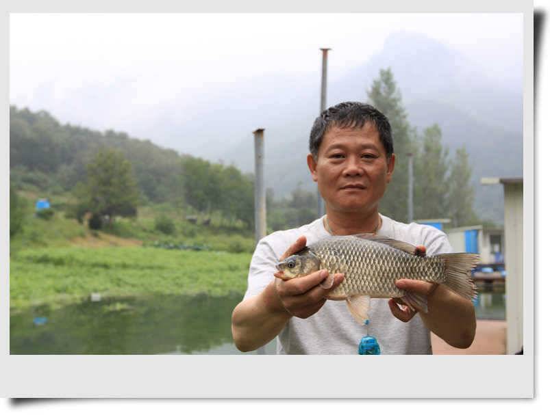 충주호 명서하천 월척들 (조황조행기 - 특파원조황)