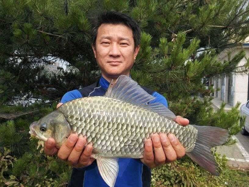 천수만부남호 6월24일 44cm와 대물행진 조황 (조황조행기 - 특파원조황)