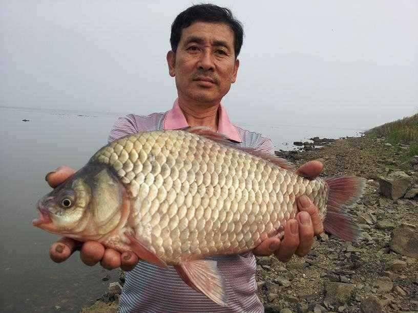 천수만부남호 6월24일 44cm와 대물행진 조황 (조황조행기 - 특파원조황)