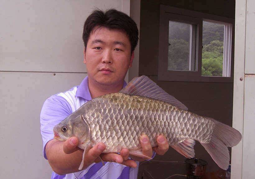 악조건속에 올린 38cm 대물급붕어 (조황조행기 - 특파원조황)