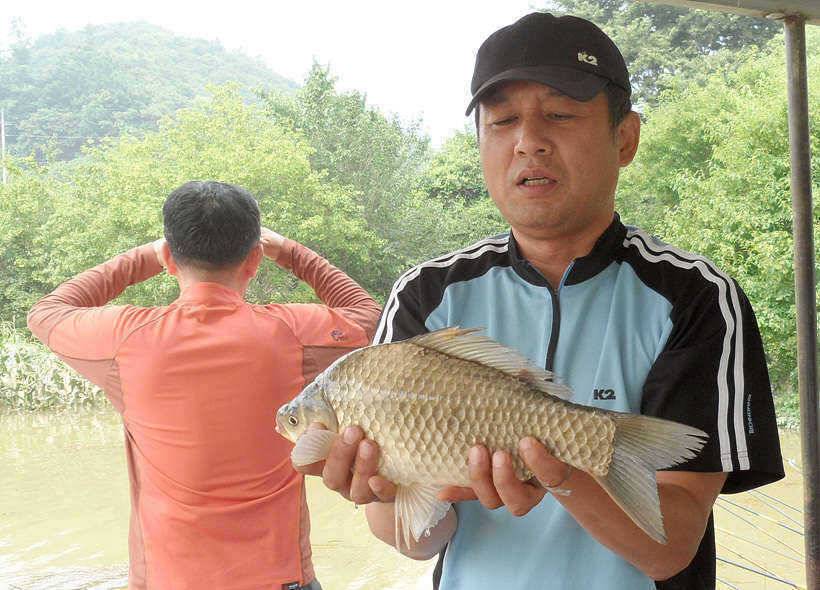 내림수위에도 붕어는 나옵니다 (조황조행기 - 특파원조황)