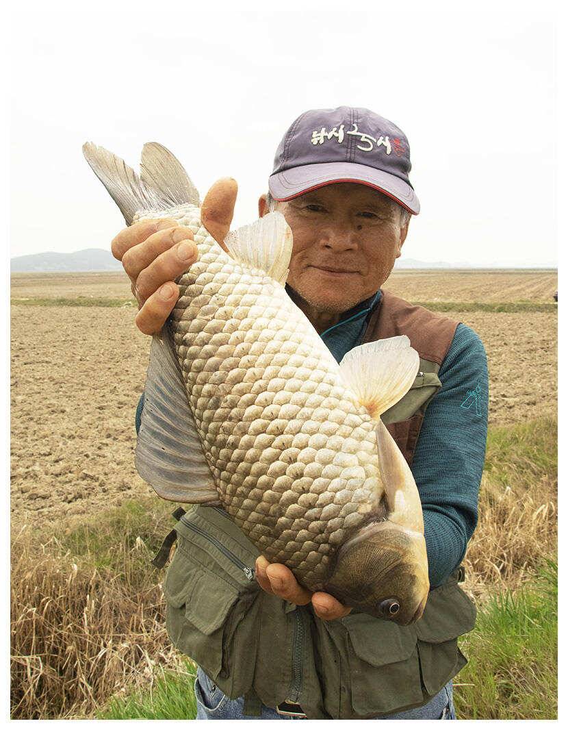 4월20일 부남호 45cm 대물마릿수 조황 (조황조행기 - 특파원조황)