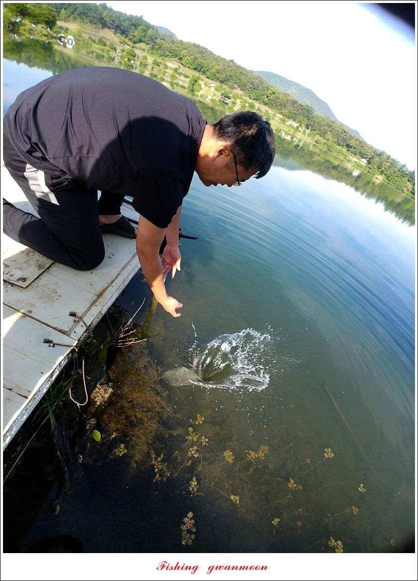 화곡지 사짜칠성지 사짜 대물 조황 (조황조행기 - 특파원조황)