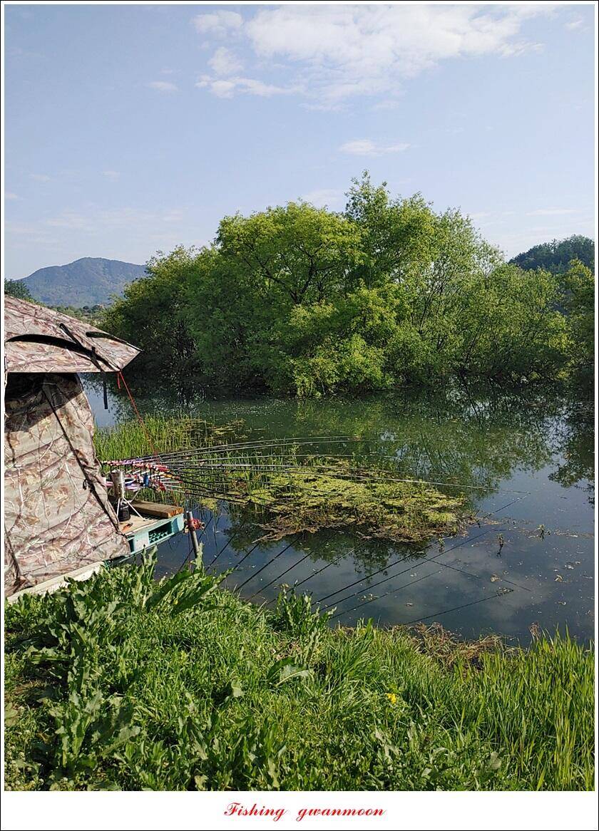 돌감충주호 노지칠성지한버들실리곡신리 4 짜 조황 (조황조행기 - 특파원조황)