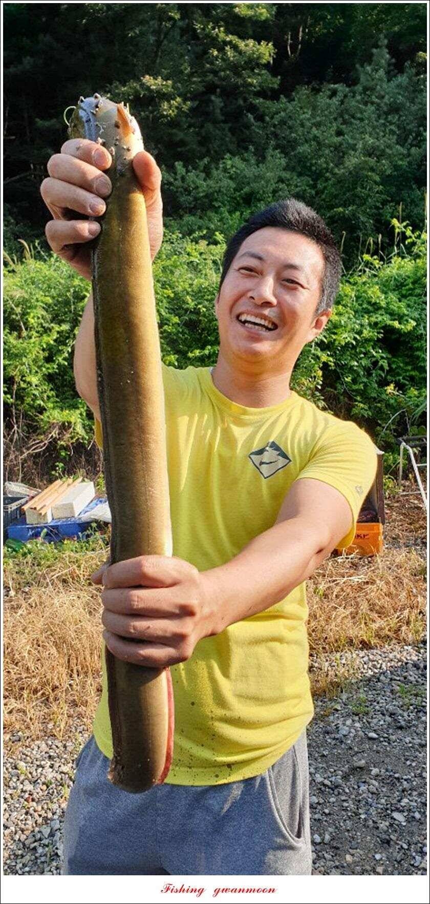 늘푸른 키로 장어제일 월척 조황 (조황조행기 - 특파원조황)