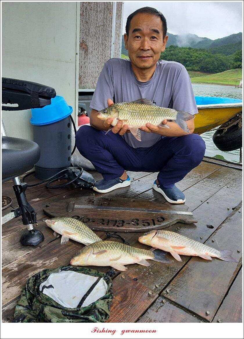 신매 385 cm돌감 385 cm38 cm38cm38cm (조황조행기 - 특파원조황)