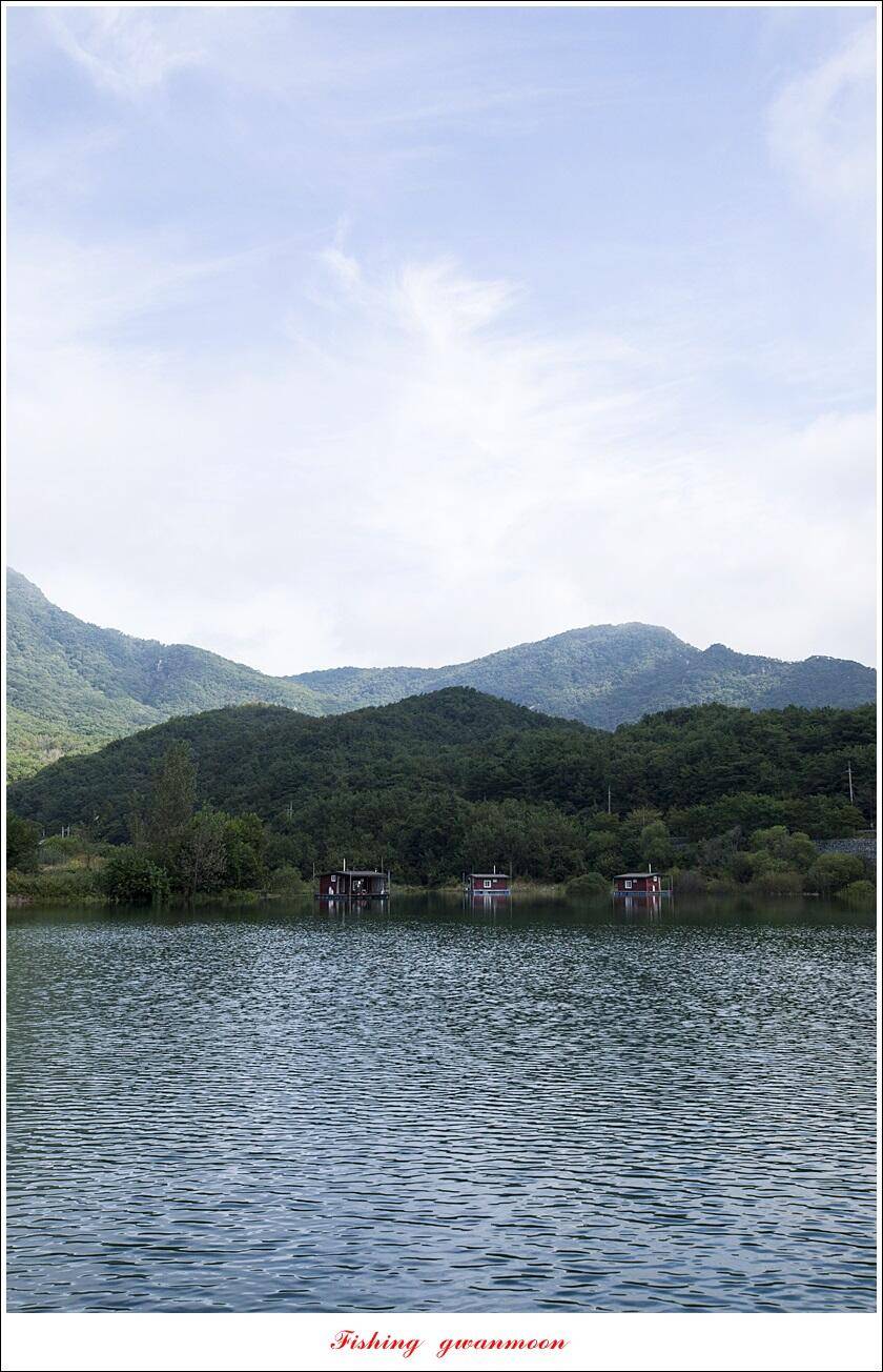 솔 4 짜 조황 및 가을 오름수위 (조황조행기 - 특파원조황)