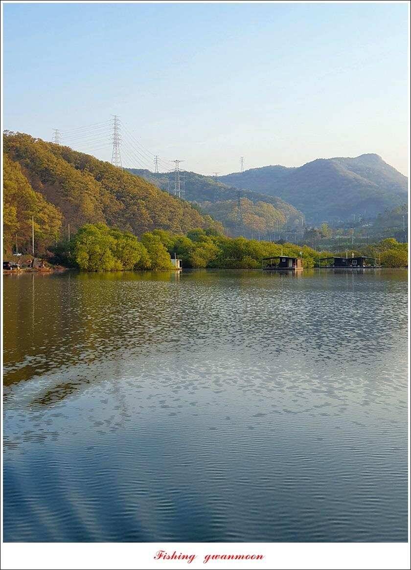 제일 낚시터 435 cm37 cm화곡지 사짜 대물 소류지 탐사 (조황조행기 - 특파원조황)