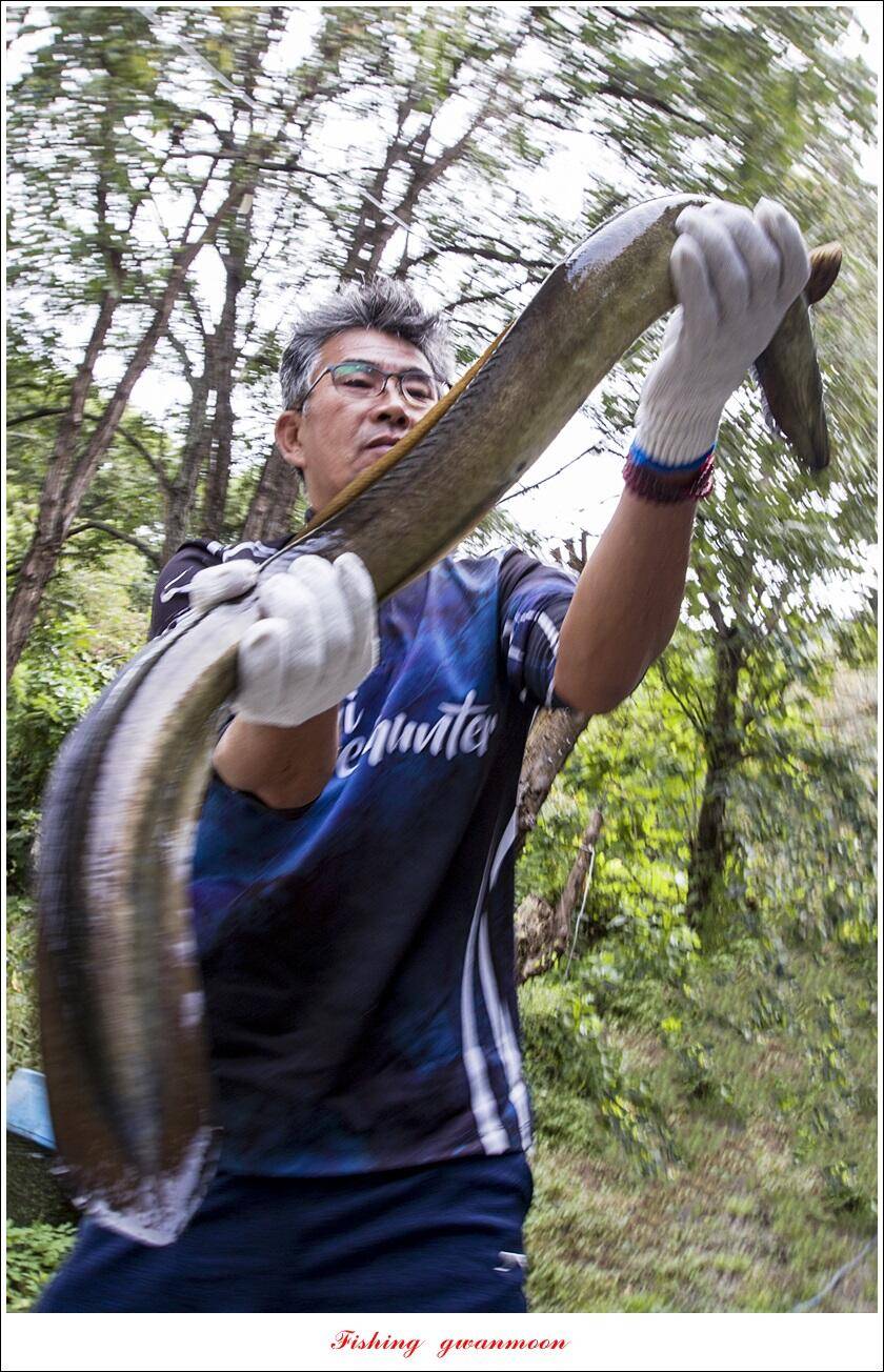 솔 4 짜 대물 및 꽃바위 2 kg 대물 장어 조황 (조황조행기 - 특파원조황)