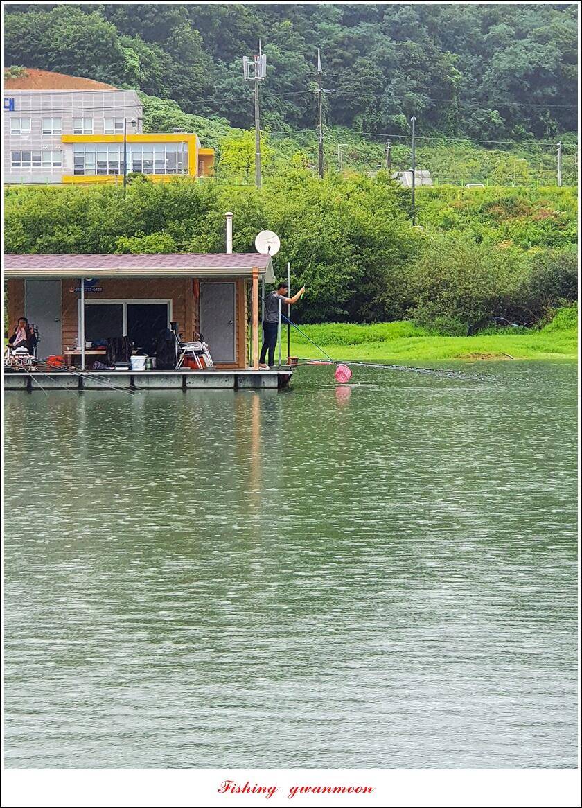 솔 4 짜 3 수화곡지 4 짜 마릿수 조황 (조황조행기 - 특파원조황)